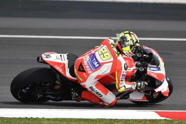 [Image: iannonesepang2.jpg]